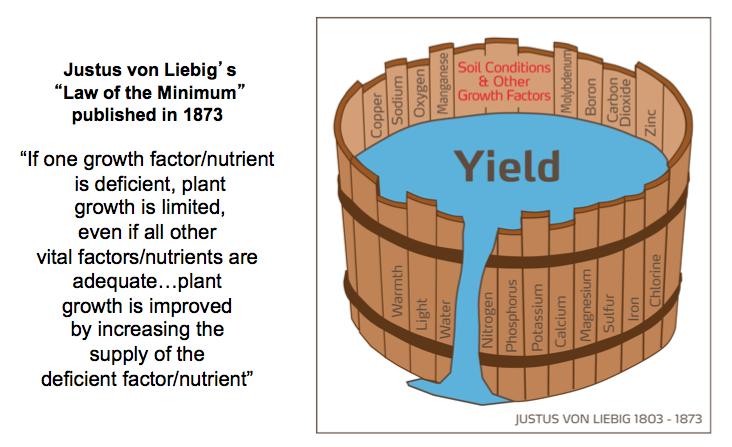 liebig barrel analogy