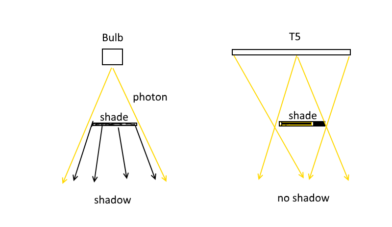 Light source comparison.png