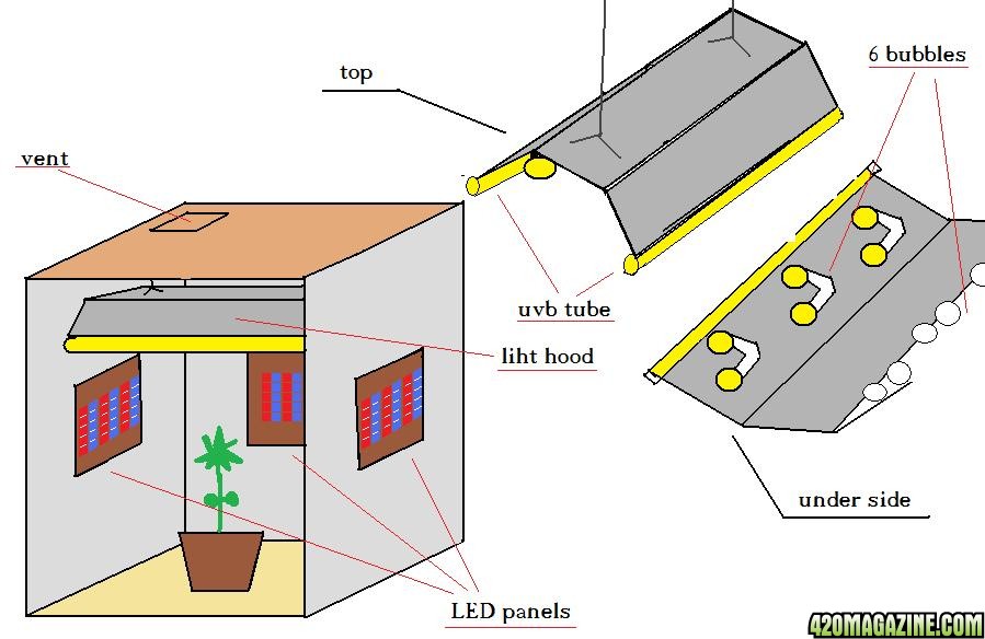 light_box