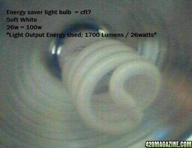 Light_Bulb