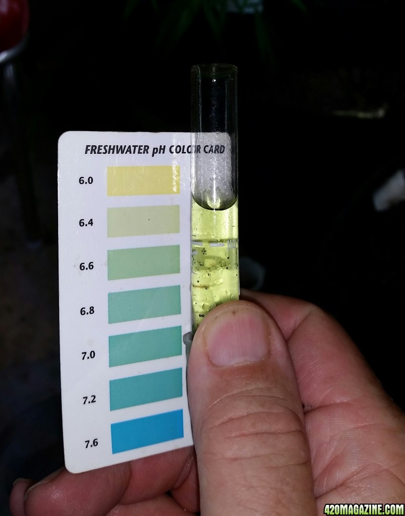 Lime Juice PH not stable over 48 hrs