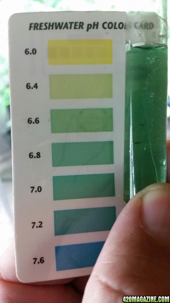 Lime Juice PH not stable over 48 hrs