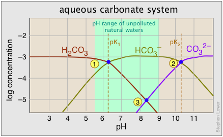 Limestone-Water vs pH .png