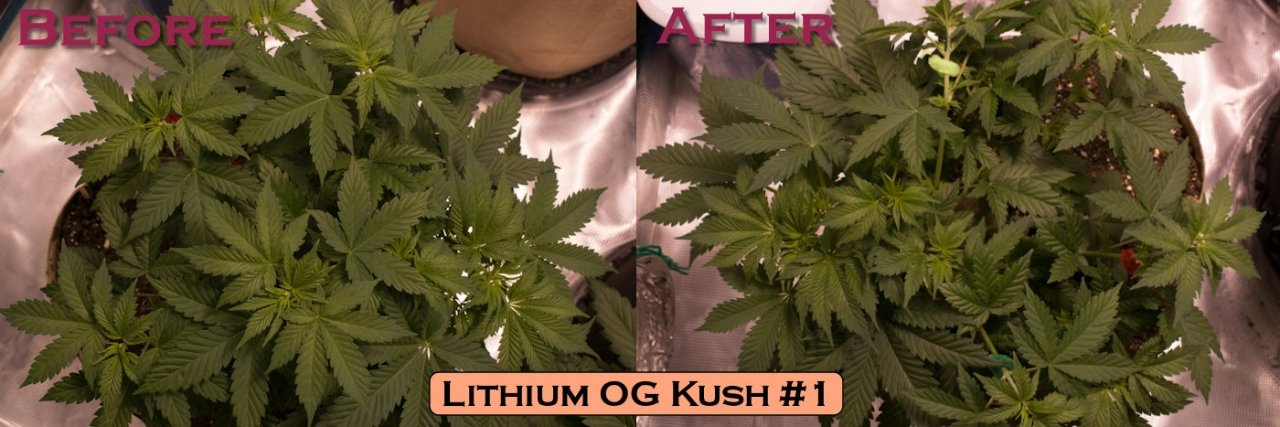 Lithium OG Kush