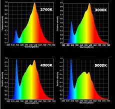 LM561C Spectrum.jpg