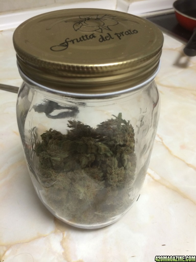 Loca curing process and mason jar