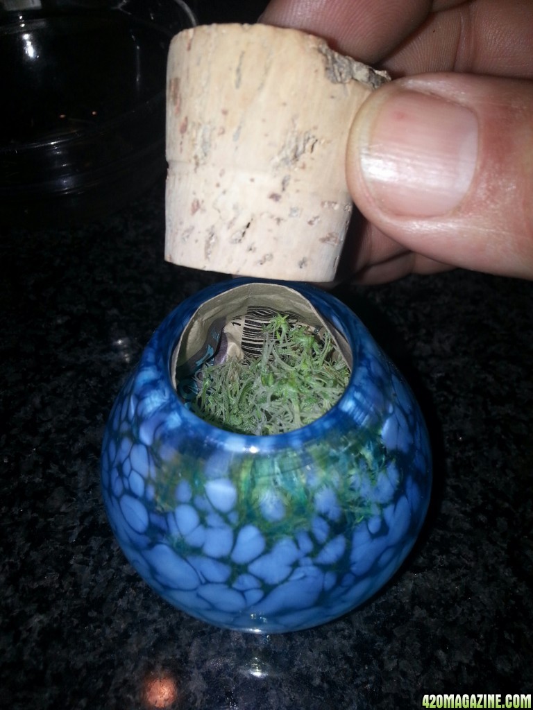 Locally blown Nug Jar