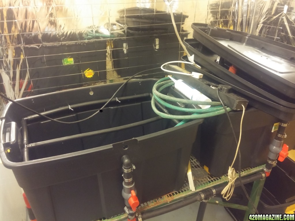 lpa aeroponic setup