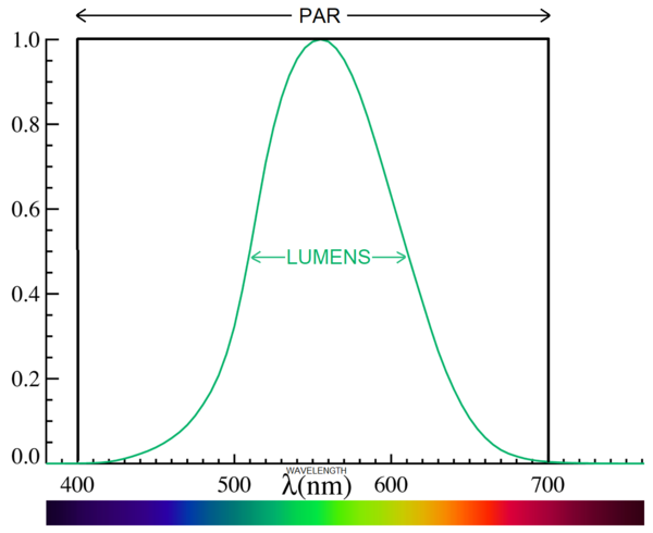 Luemsn_PAR_784a3e07-10cb-4c16-8feb-621fe106e118_grande.png