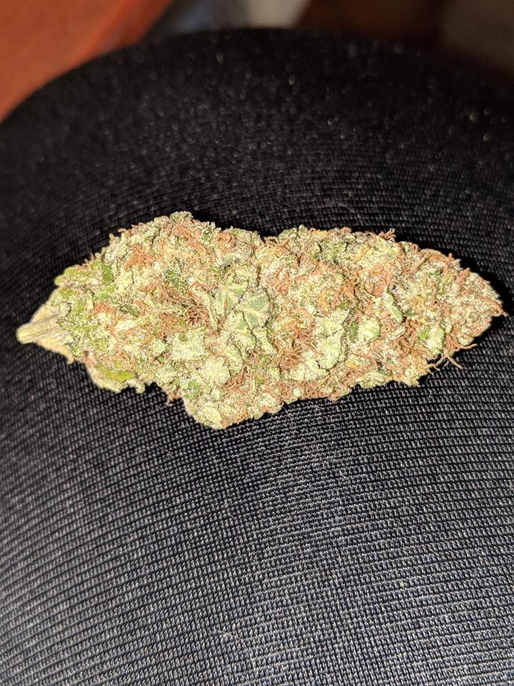 mack dried bud.jpg