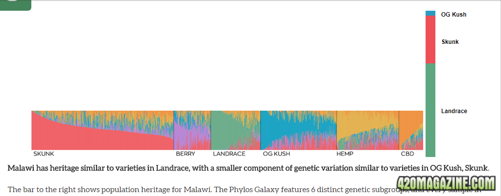 malawi.png