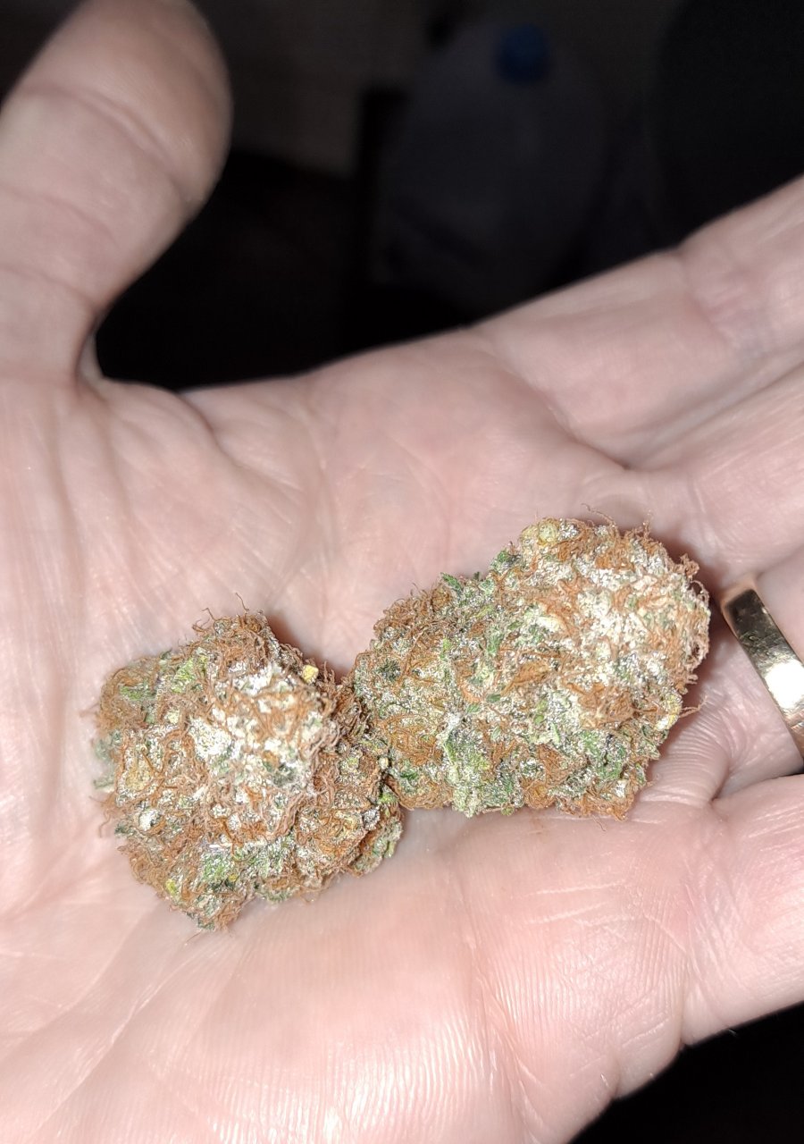 MangoKush#2size.jpg