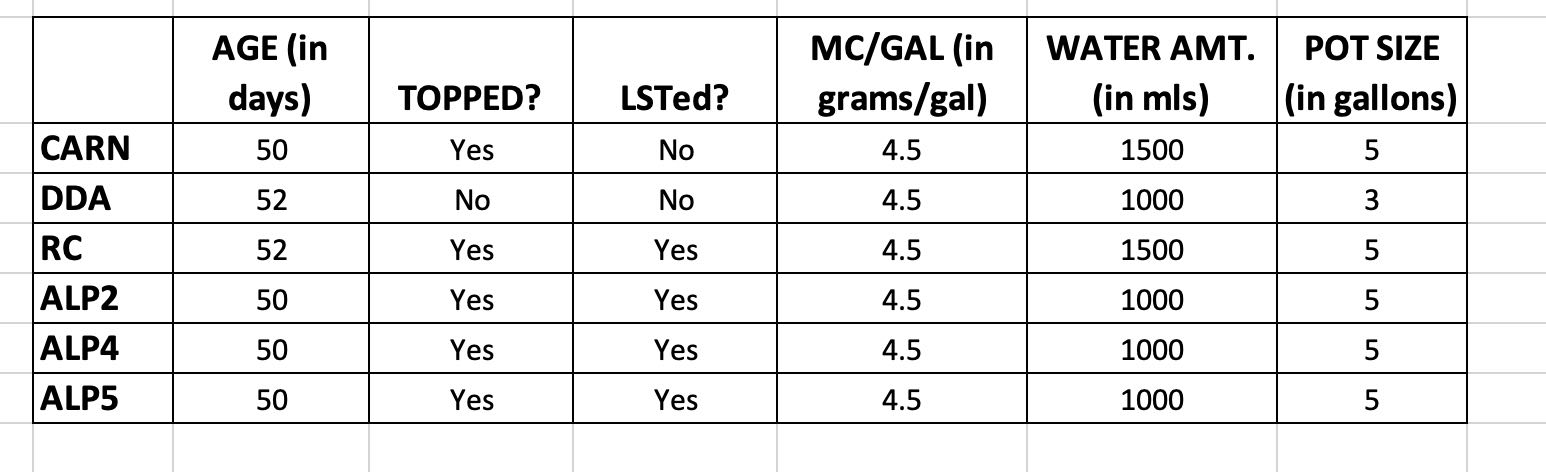 March 4, 2021 Plant Info.jpg