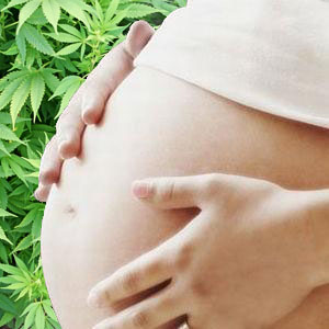 Marijuana And Pregnancy