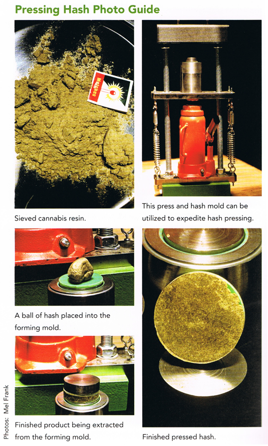 Marijuana Horticulture Fundamentals - Inner photo 1