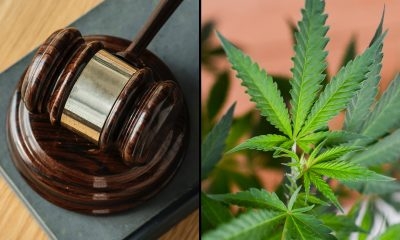 marijuana-legislation-bill-leaf-gavel-400x240.jpg