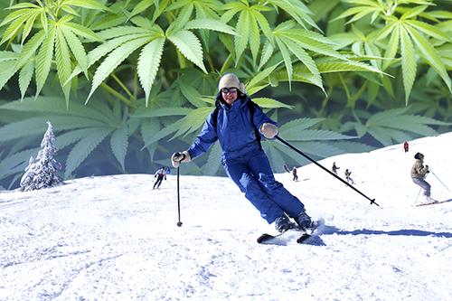 marijuana-skier-500