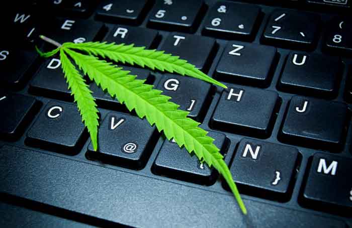 Marijuana Technology - Shutterstock