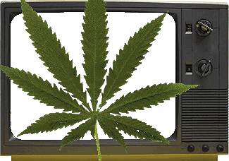 marijuana-tv