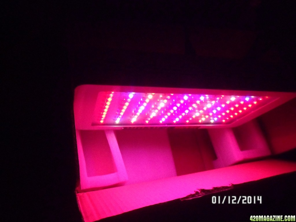 Mars Hydro LED Grow Light 100x3w