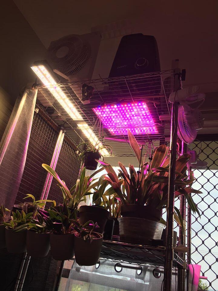 Mars Hydro SP 250 , Mars II led grow light