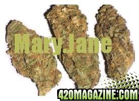 Mary.Jane