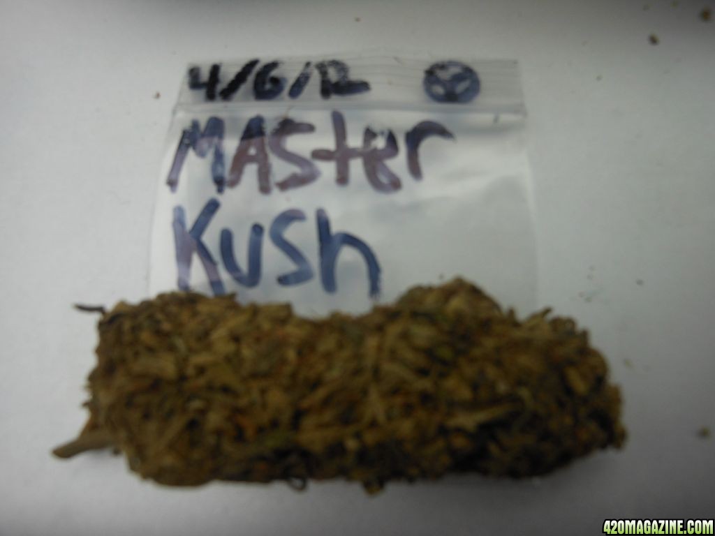 Master Kush