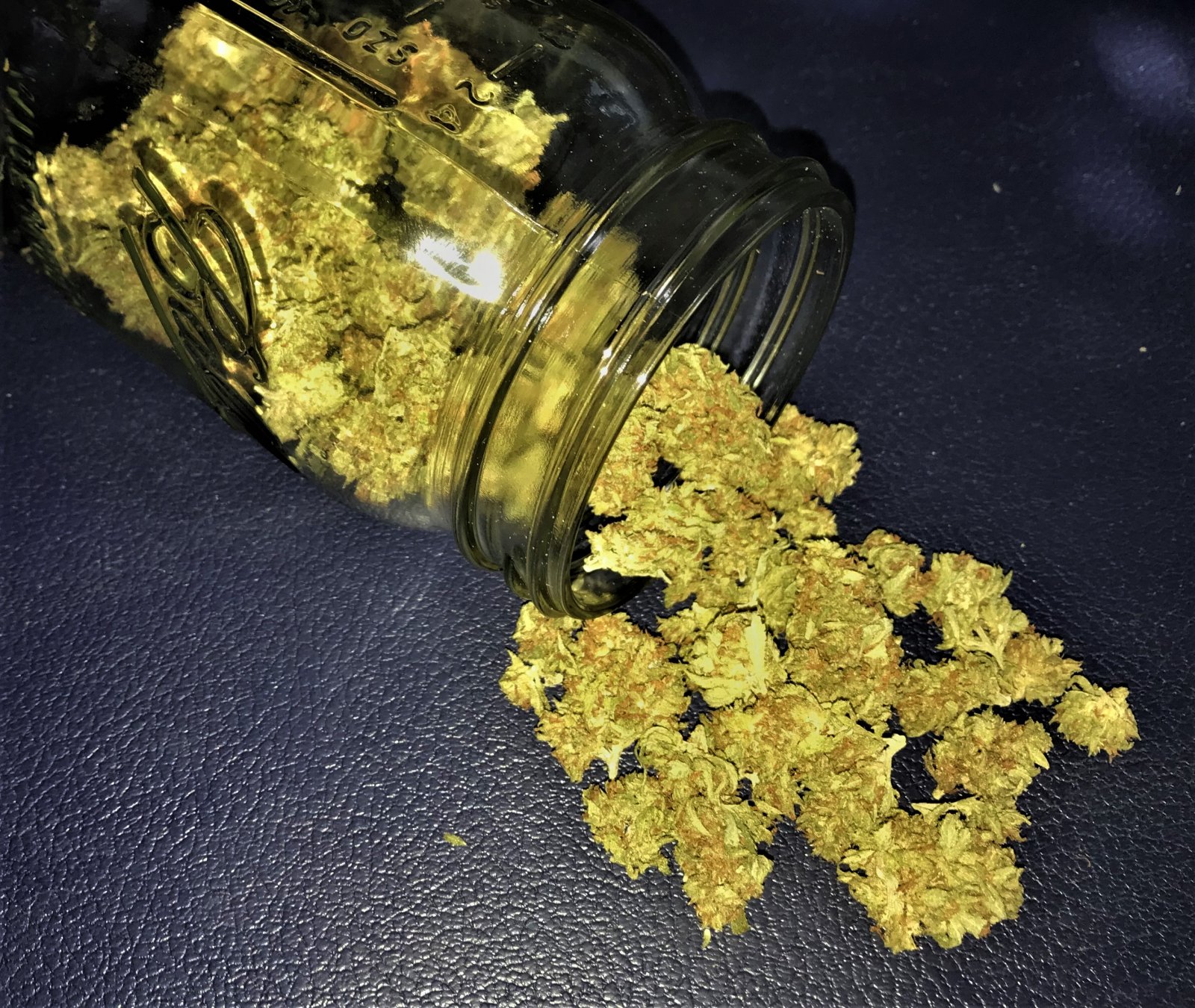 MC-CB cured bud 9-19-21.jpg