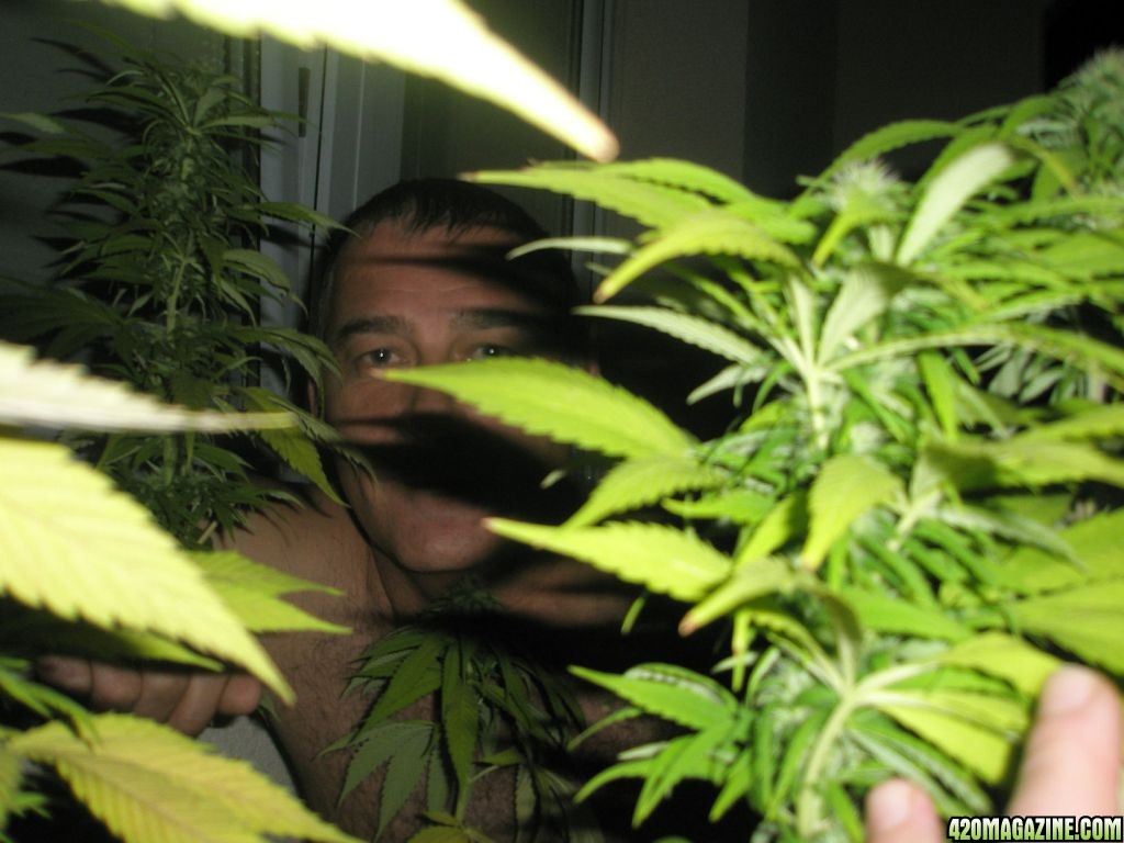 Me hiding behind a bush!