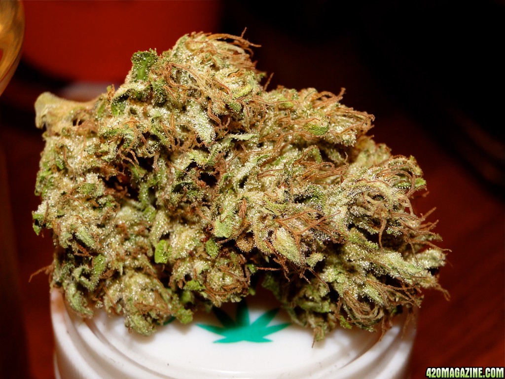 Medical Cannabis