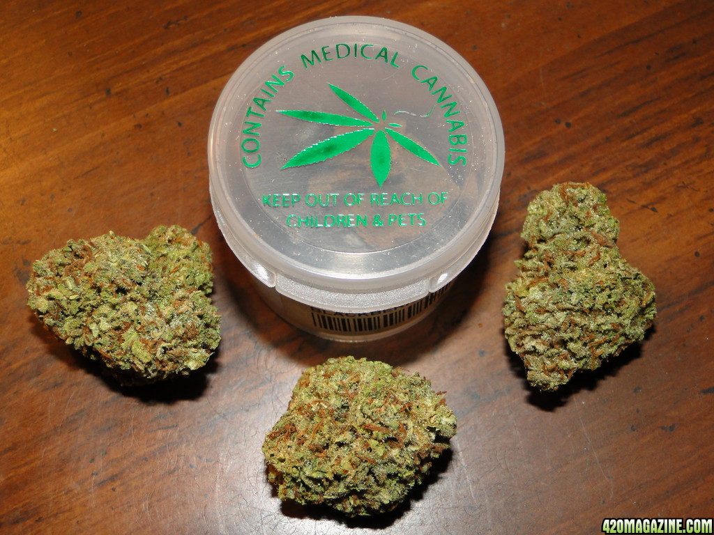 Medical_G_D_P_x_O_G_Kush