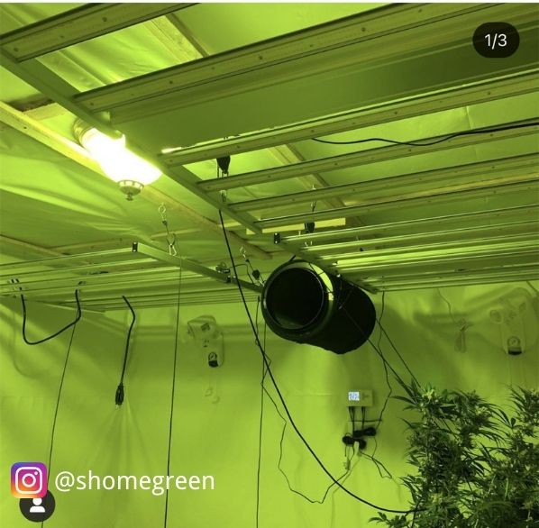 medicgrow-fold-8-led-light-shomegreen.jpg