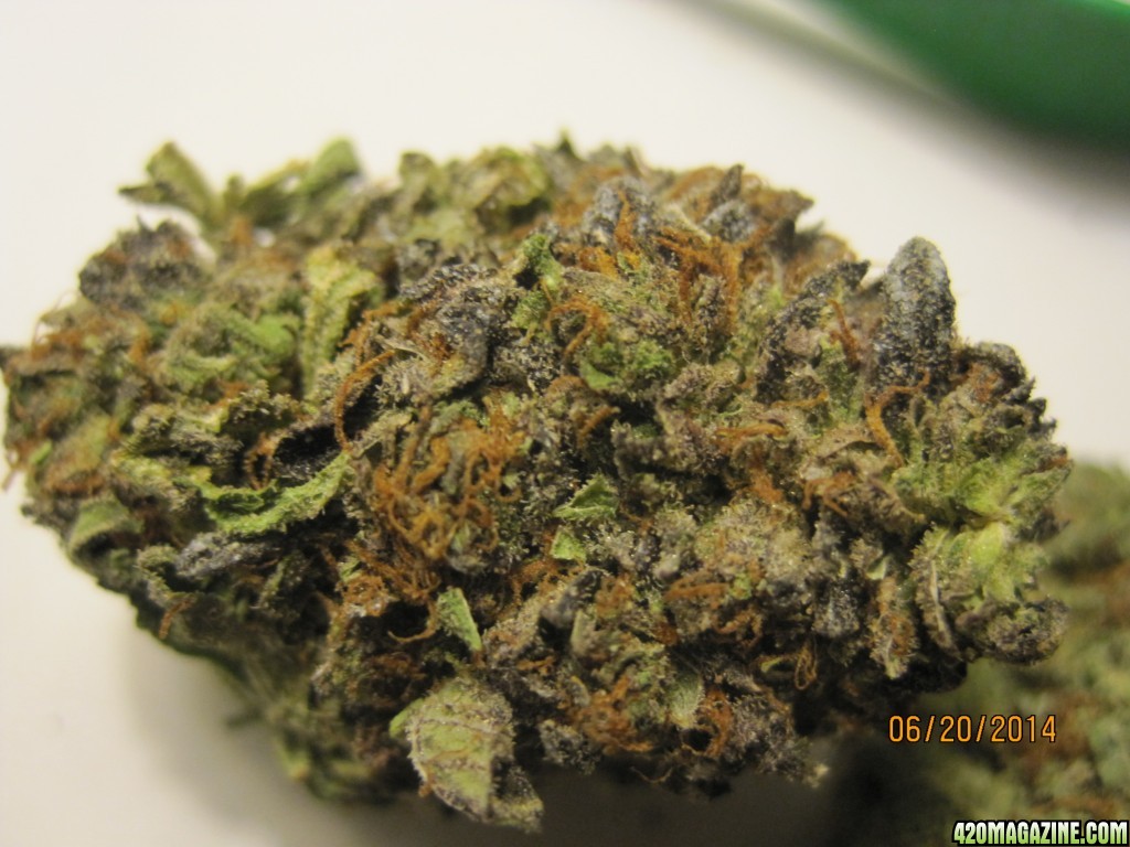 Medicinal buds from Canadian Dispensary