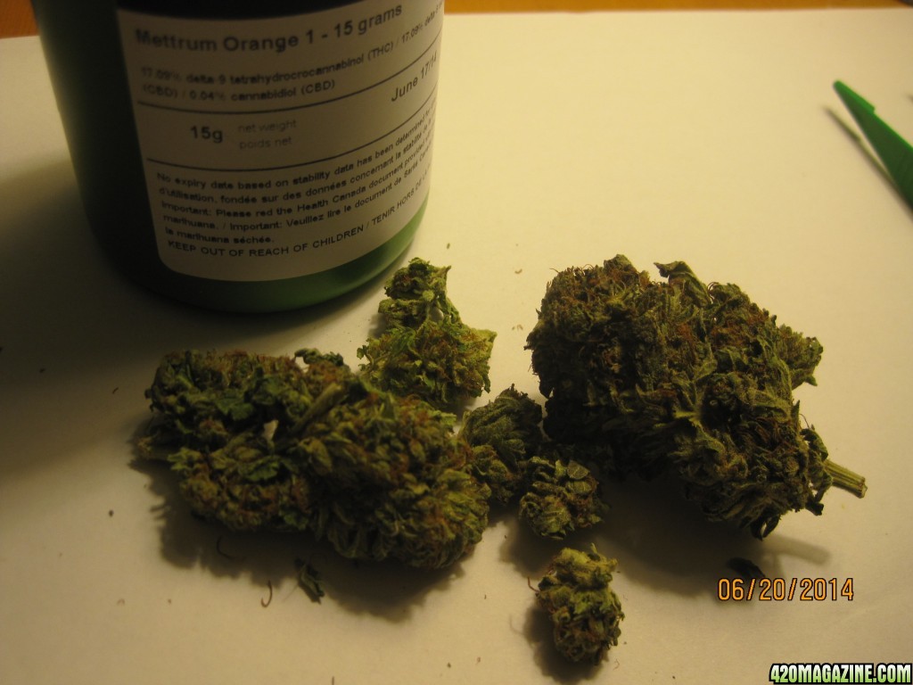 Medicinal buds from Canadian Dispensary