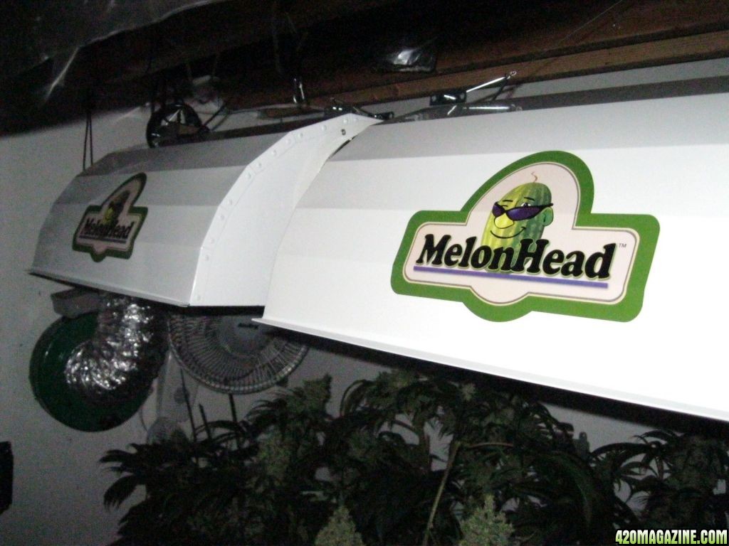 MelonHead Reflectors from Advanced Nutrients