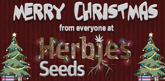 Merry Christmas from Herbies