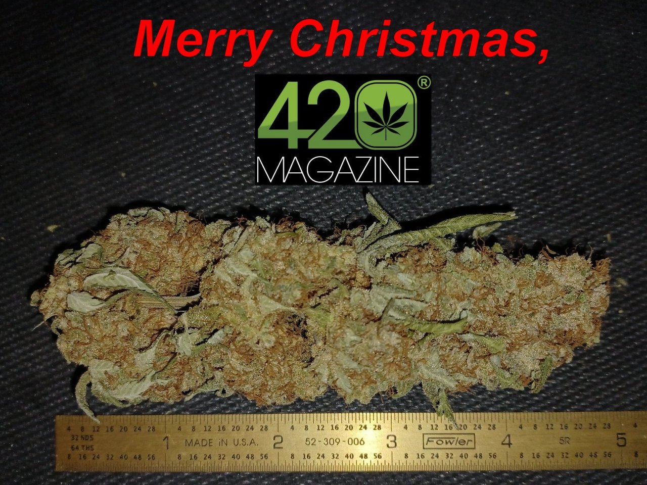 MerryXmas2021_420Mag.jpg