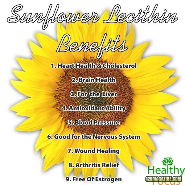 mig-Sunflower-Lecithin-Benefit.jpg