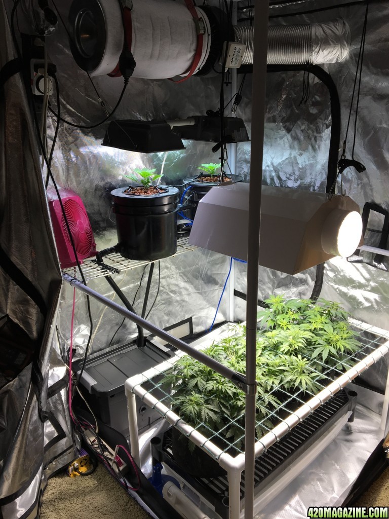 misc tent rearrangement