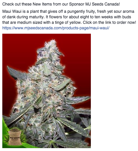 MJ Seeds Canada FB 09/29/14