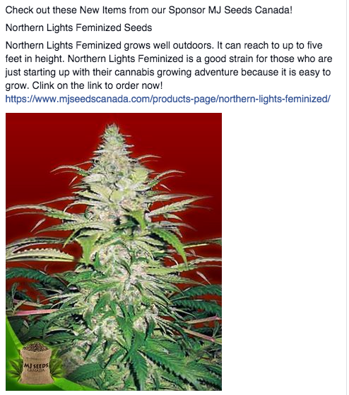 MJ Seeds Canada FB 10/13/14