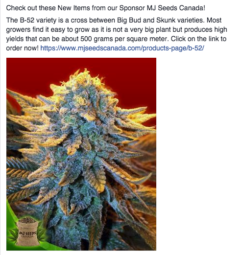 MJ Seeds Canada FB 11/03/14