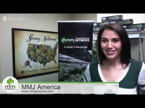 MMJ America