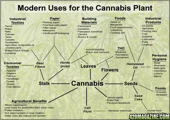 Modern uses for Cannabis