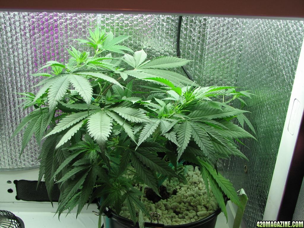 mom &amp; clones 09-08-10