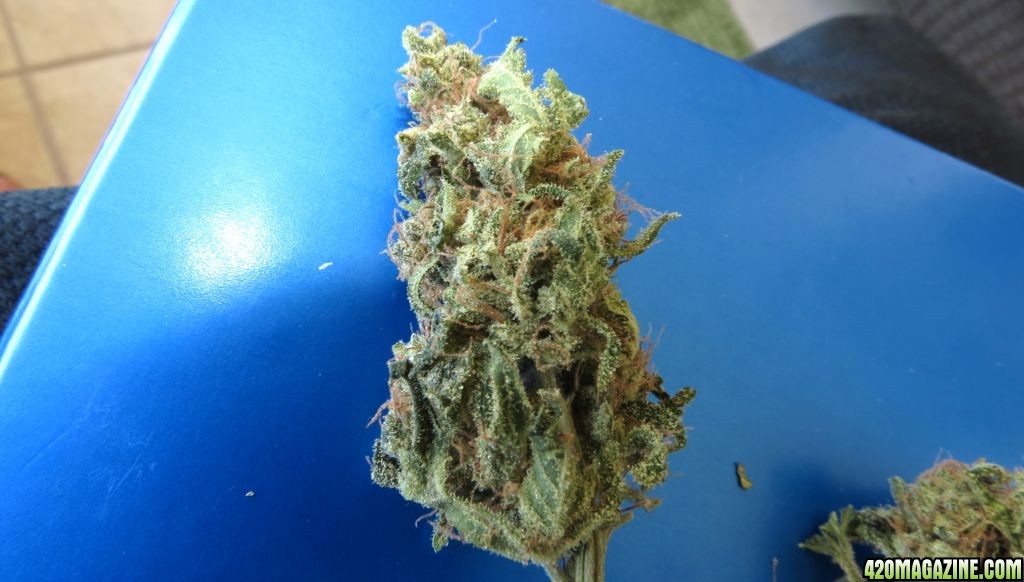 More Blue Cheese