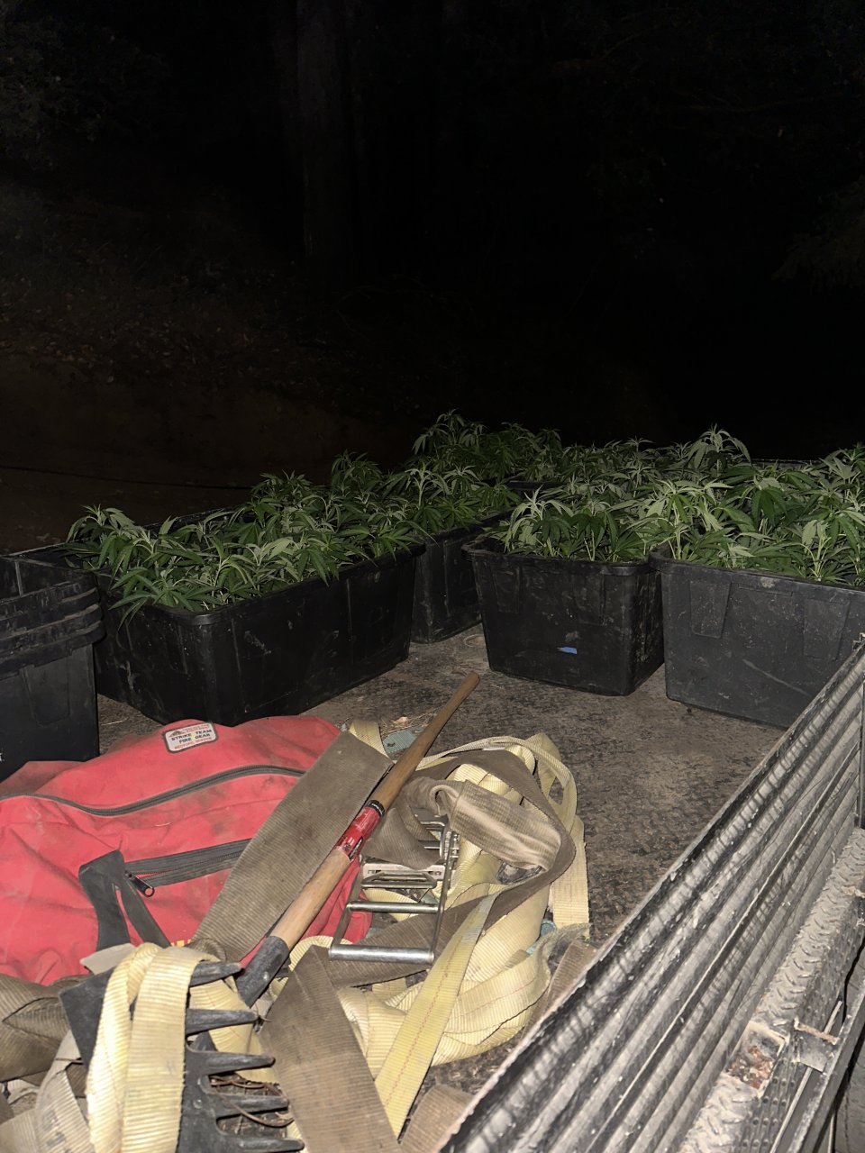 More plants inbound