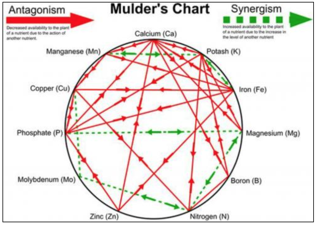 Mulder’s infographic