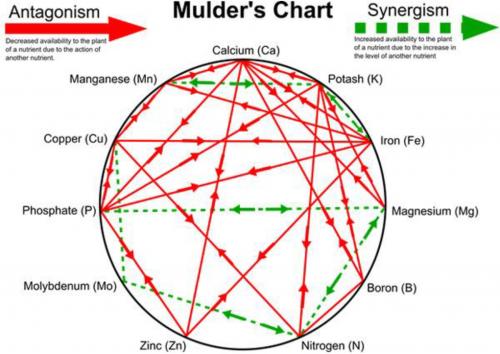 mulders chart.jpg