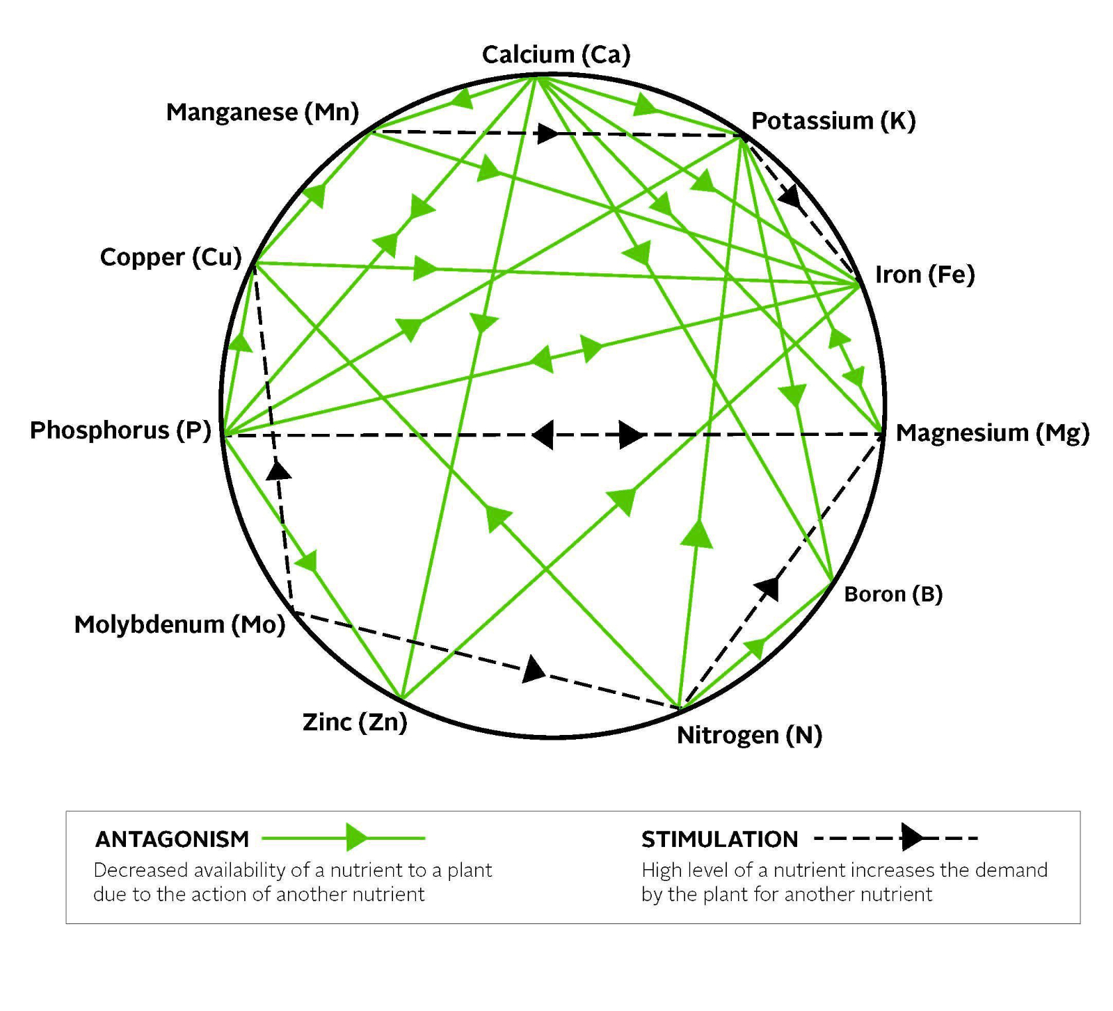 Mulder's Chart.jpg